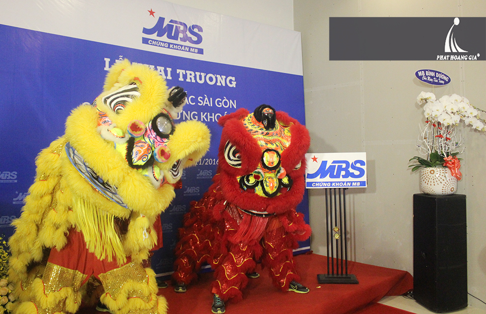 khai trương công ty mbs 11